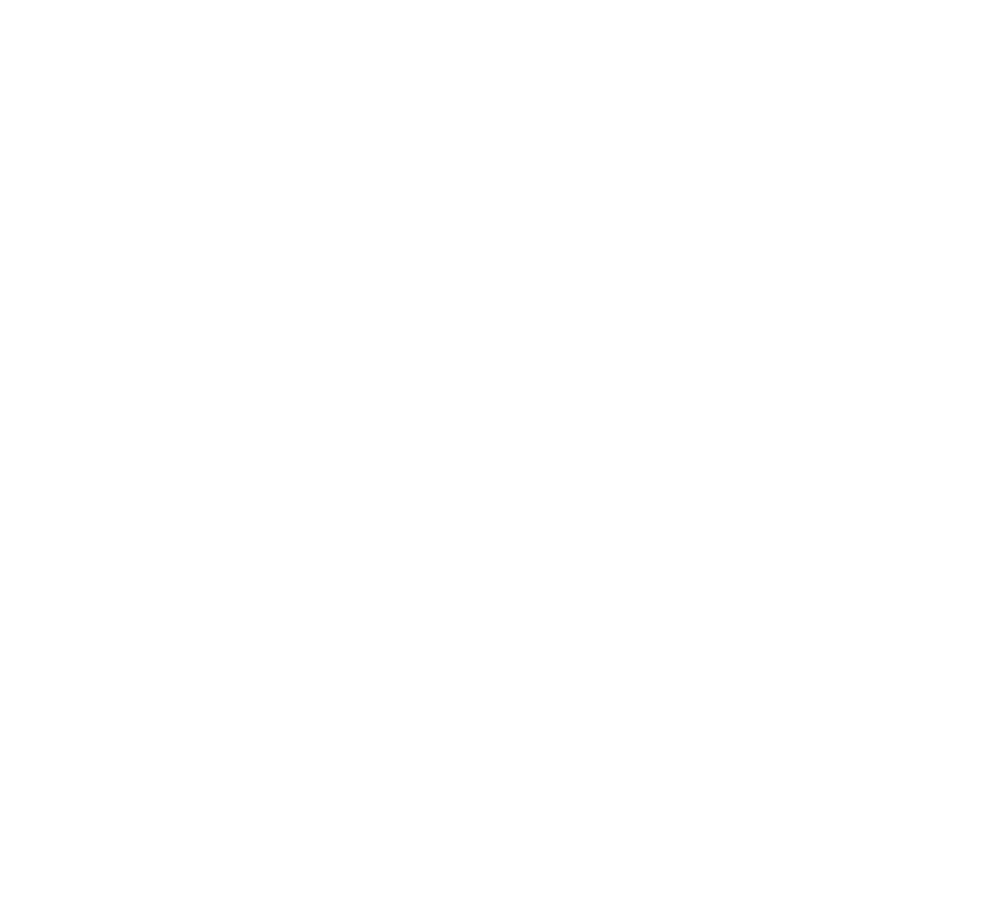 NetPintur